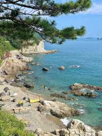 부산의 숨은 스노쿨링 명소🤿 부산 나폴리💙