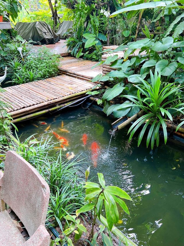 曼谷花園咖啡店☕️泰國菜館