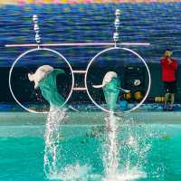 Ocean Dream Samudra Ancol