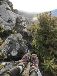 Philippine Grandfather Mountain Apo