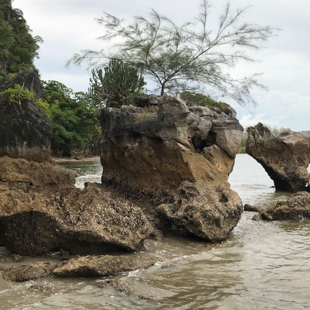 อุทยานแห่งชาติหาดเจ้าไหม ตรัง