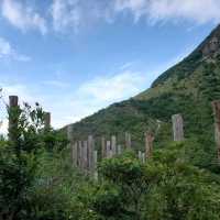 心經簡林🌲🌲