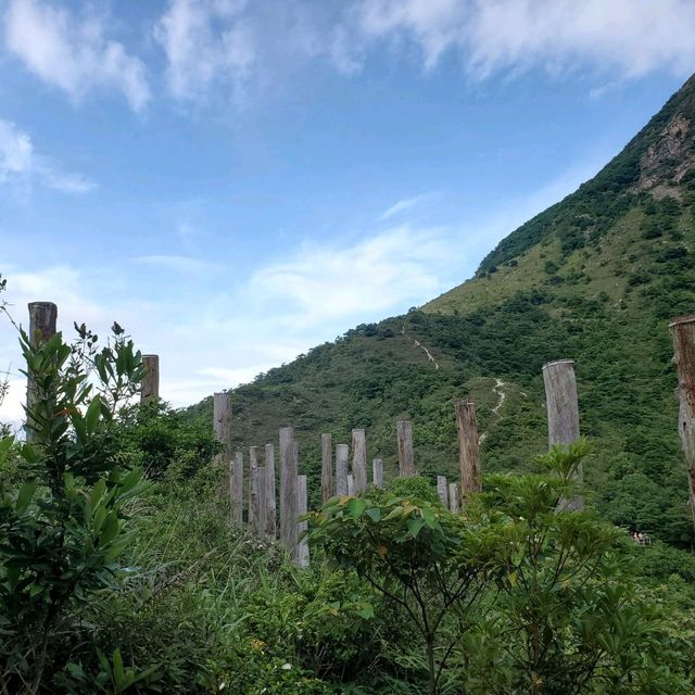 心經簡林🌲🌲