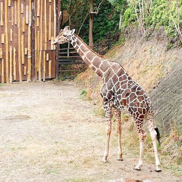 長崎旅行ならバイオパークでふれあい体験