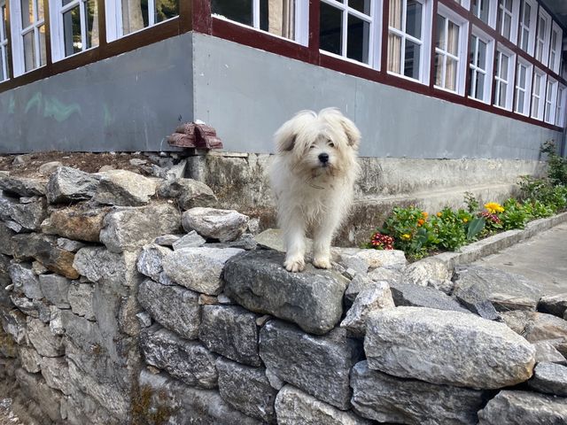 Exploring Namche Bazaar