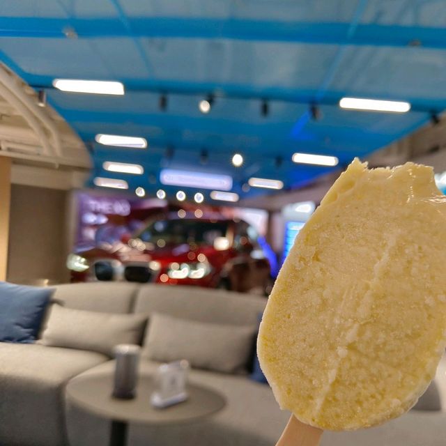 芬蘭主題，車展各種工作坊，大人小孩皆宜！