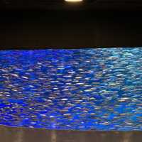 【北海道】登別マリンパークニクス
