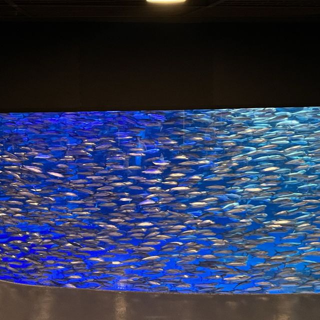 【北海道】登別マリンパークニクス