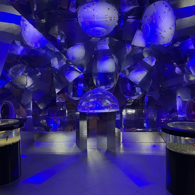【北海道】登別マリンパークニクス