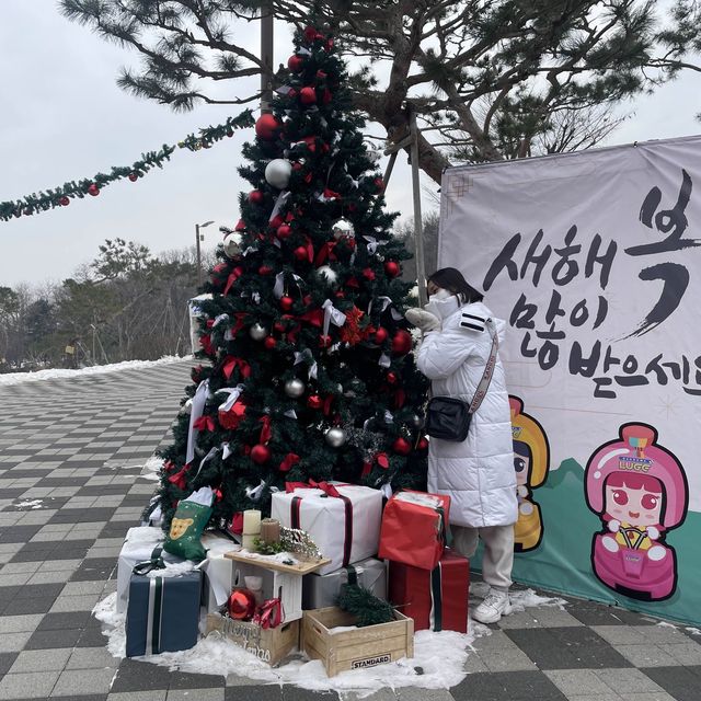 눈덮인 설산과함께❄️씨사이드리조트 루지