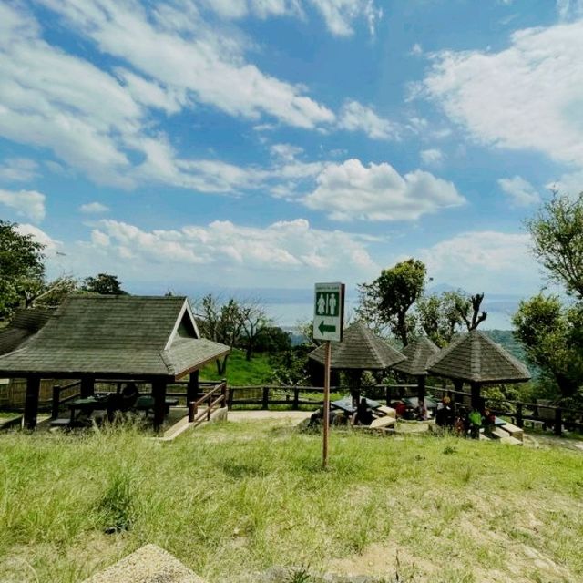 Tagaytay Picnic Grove