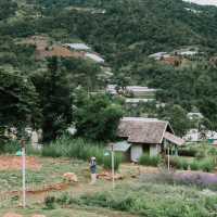 Mori Nature Farm โมริ เนเชอรัลฟาร์ม 