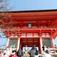 京都｜清水寺～觀光客必去景點