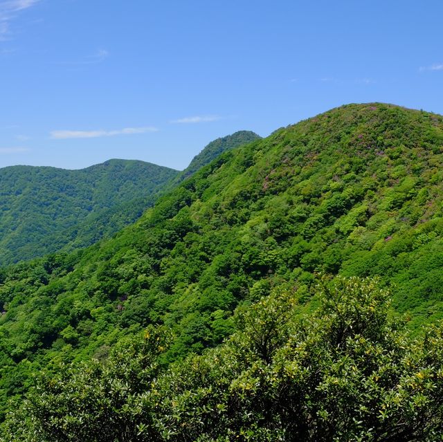 天城山
