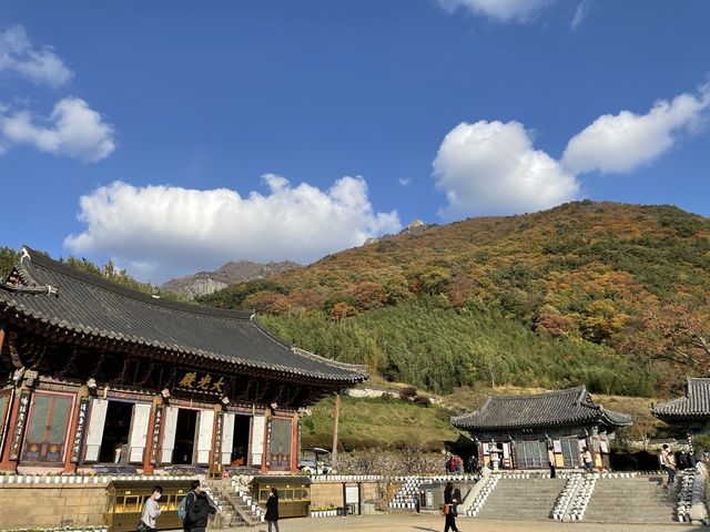 드라이브와 산책 둘 다 잡을 수 있었던 가족나들이, 밀양 표충사