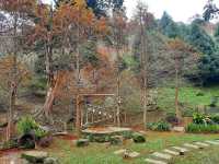 【桃園】景觀餐廳-悠然秘境小屋