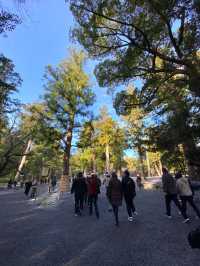 【伊勢神宮】🌅1月2日参拝🎍