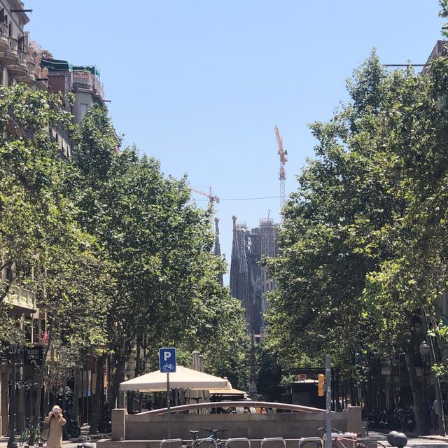 【スペイン】サンパウ病院へ