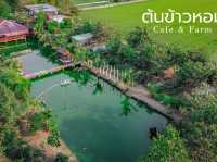 คาเฟ่บรรยากาศดีวิวทุ่งนา