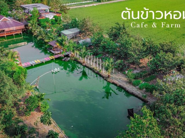 คาเฟ่บรรยากาศดีวิวทุ่งนา