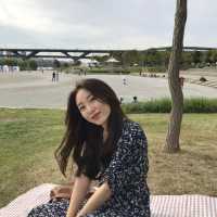 [뚝섬유원지] 한강 피크닉의 계절이 돌아왔습니다! 