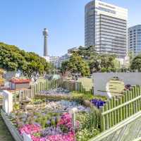 山下公園の花壇展示散策