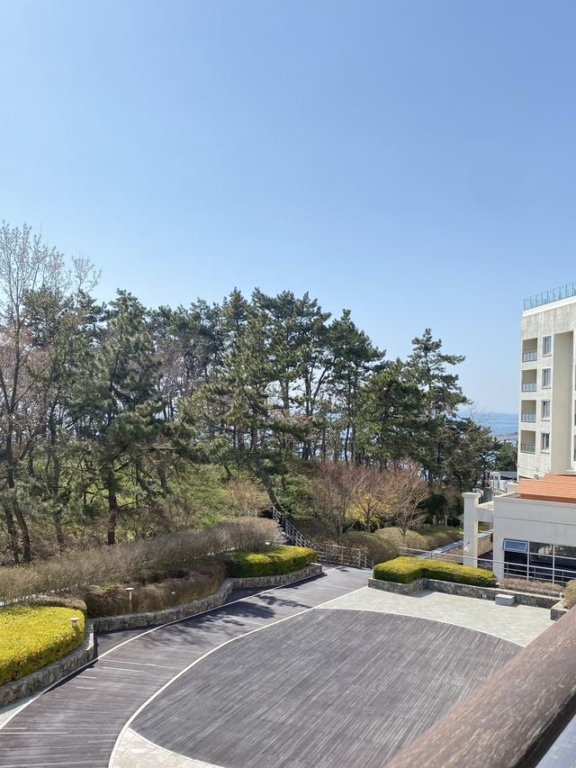 변산 채석강 산책길이 있는 호캉스, 소노벨 변산 📸
