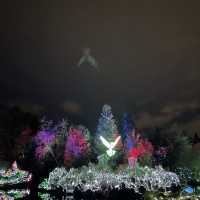 Christmas lights festival at the botanical gardens 