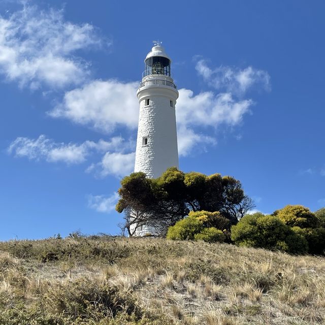 Nature Wonders of Rottness Island