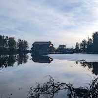 Scenic lake in Black Forest