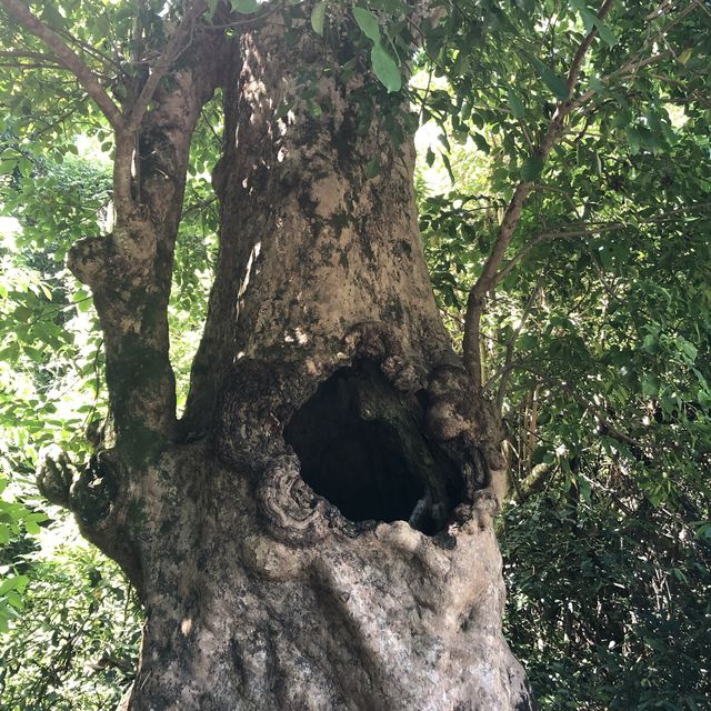 Lai Chi Wo- The UNESCO Geopark in Hong Kong 