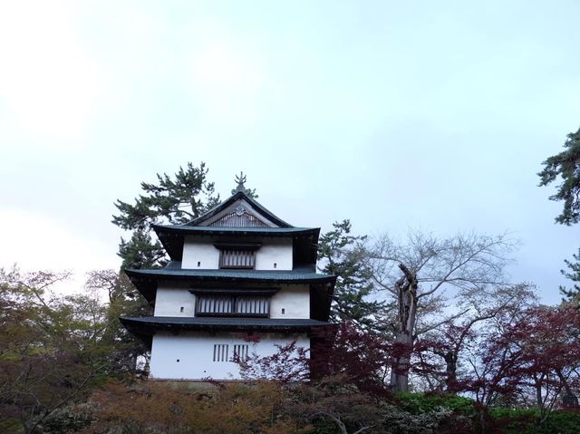 賞櫻花勝地｜弘前公園🌸🌸