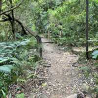 位於台北市區的仙境步道 富陽生態公園
