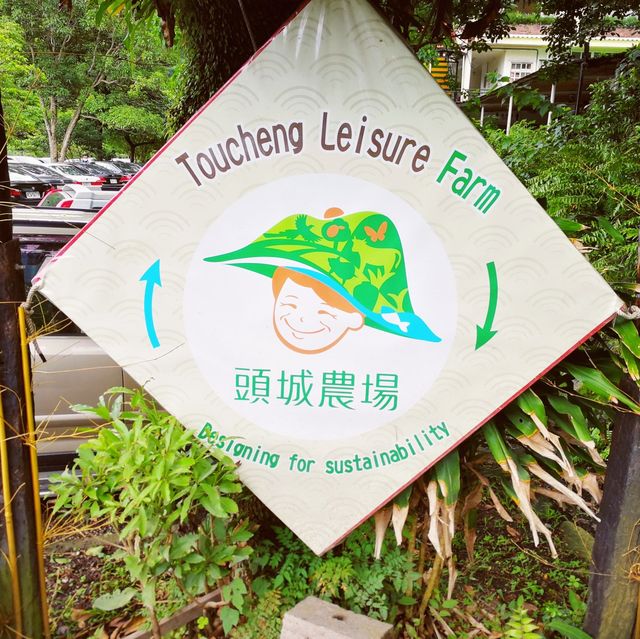 森林中享受大自然｜頭城農場｜適合親子家庭的好去處