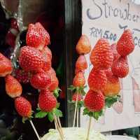 Big-Red Strawberry Farm