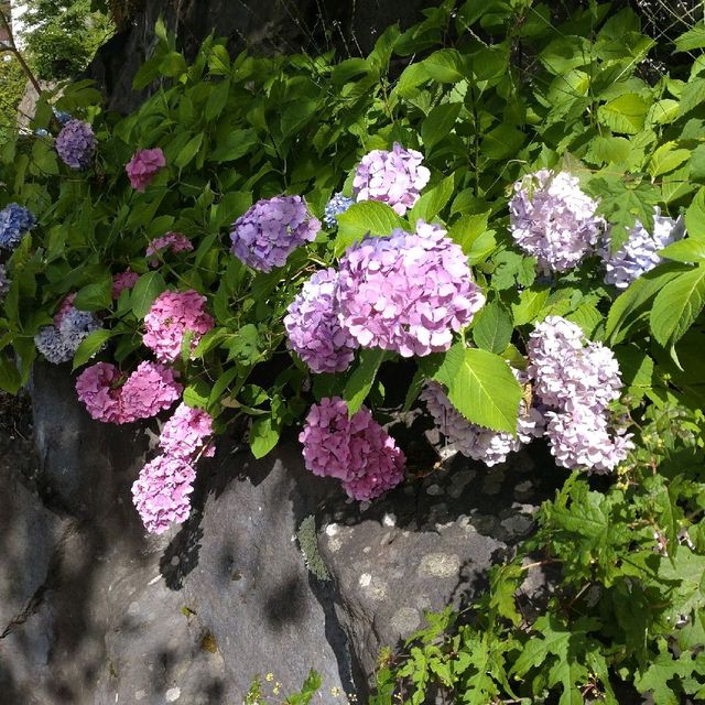 湯けむりの坂