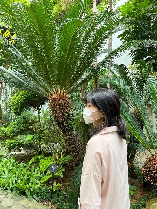 나무들과 찰칵🌳 사진찍으며 데이트하기 좋은 곳