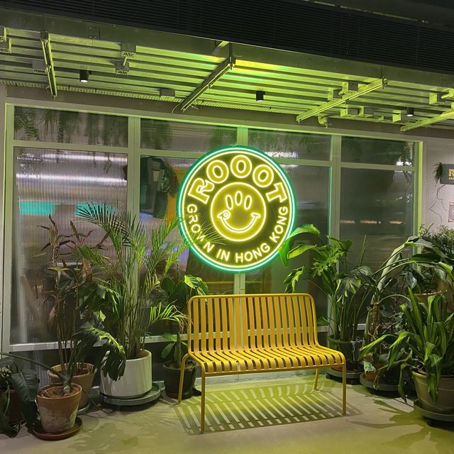 🌕 當個安靜的文青 — 夜遊南豐紗廠