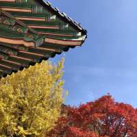 부산 단풍 명소, '범어사'