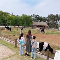 고창 상하농원👩🏻‍🌾🧑🏻‍🌾