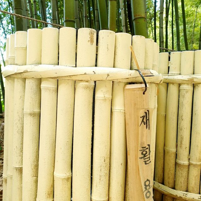 Juknokwon Bamboo Forest