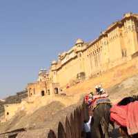 the gigantic Amer Fort