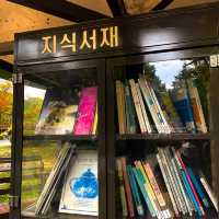 알록달록 단풍을 수놓은 양재시민의숲🍁