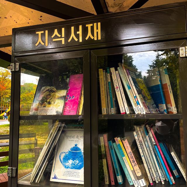 알록달록 단풍을 수놓은 양재시민의숲🍁