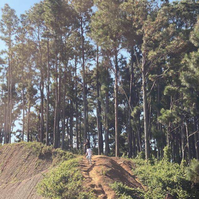 Little Baguio