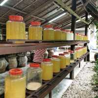 โครงการอัมพวาชัยพัฒนานุรักษ์🌿🌳  