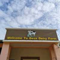 DESA DAIRY FARM KOTA KINABALU 