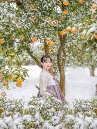 제주에 눈이 내리면 제일 먼저 달려가야 할 곳☃️