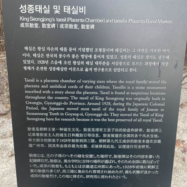 창덕궁에서 창경궁을 따라 걷는길 