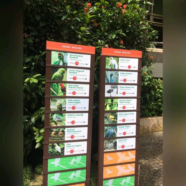 最後機會～新加坡裕廊飛禽公園